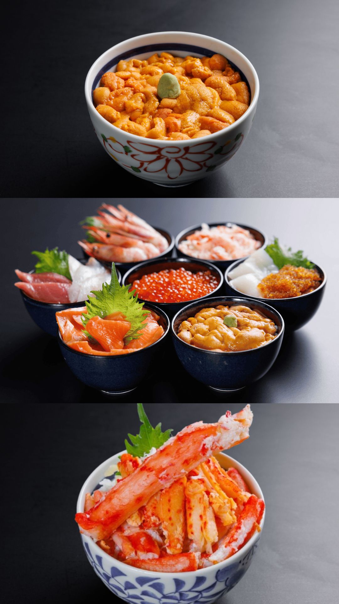 札幌 海鮮 丼